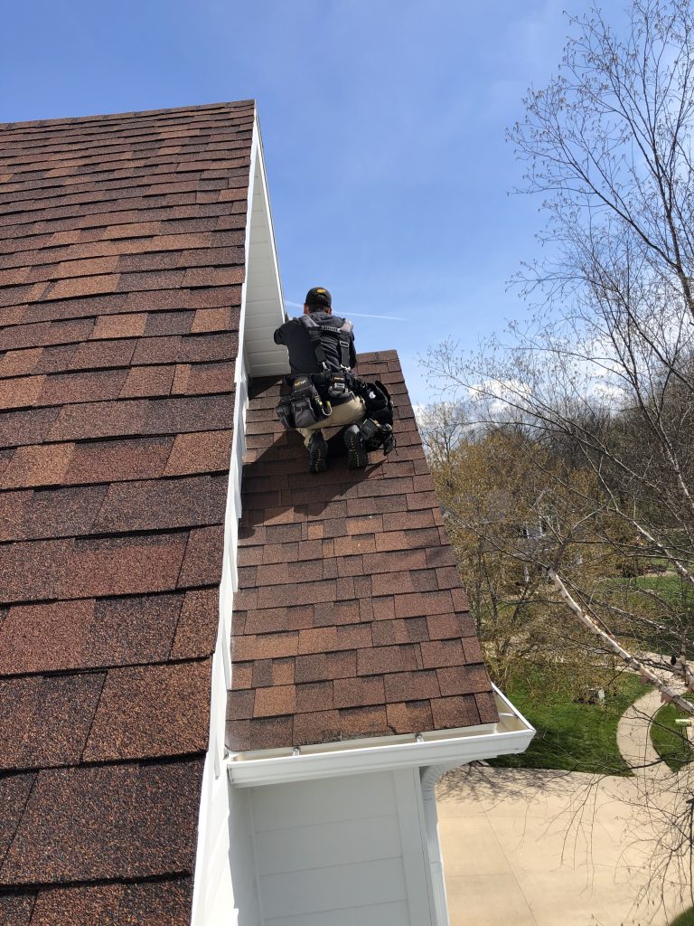 bat exclusions on roof in Central Missouri